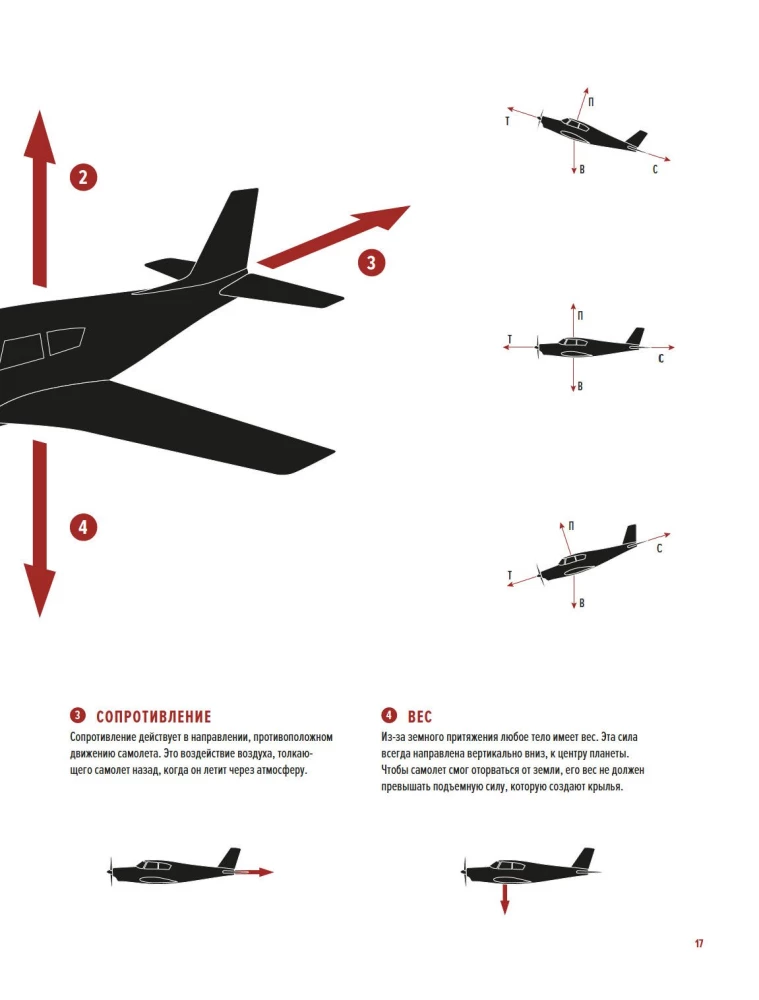 The Physics of Flight. From the First Gliders to Modern Drones